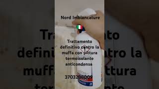 Nord Imbiancature  Imbianchino Como 🇮🇹 Trattamento antimuffa trattamento infiltrazioni like home [upl. by Ellery]