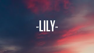 Alan Walker  Lily Lyrics ft K391 Emelie Hollow [upl. by Ahsiym]