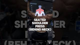 Seated Shoulder Press Resistance Bands Workout [upl. by Shelden]