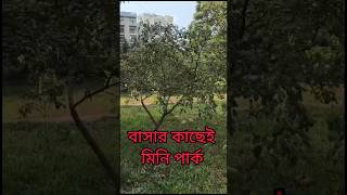 Walking a Mini park in front of my house ❤️❤️shots bangladesh natural banglatalk506 [upl. by Acinaj]