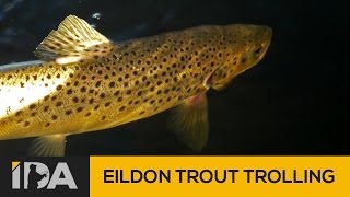 Lake Eildon Fishing  Trolling for trout [upl. by Sucramej]