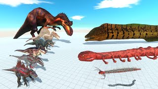 Spinosaurus Dinosaur Evolution VS Snakes Evolve to Become Giant Eels  Dinosaurs Evolved [upl. by Bumgardner]