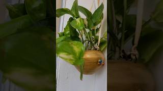 Old Brass Vase Reuse Idea old recycling reuse brassvase youtubeshorts [upl. by Sarad]