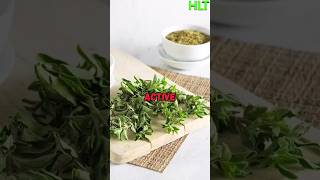 How often do you use oregano healthyeating [upl. by Alauqahs]