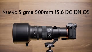 Sigma 500mm f5 6 DG DN [upl. by Holofernes]