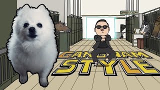 PSY  GANGNAM STYLE em CACHORRÊS  NOSTALGIA [upl. by Ydnim]