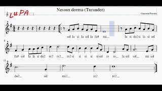 Turandot Nessun dorma  Flauto dolce  Note  Spartito  Instrumental  Karaoke  Canto [upl. by Verlee582]