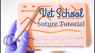 VET SCHOOL SUTURE TUTORIAL Simple Interrupted Continuous Ford Interlocking  BellaVet [upl. by Nylsirhc]