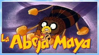 La abeja Maya  episodio 6  maya y la cigarra  capitulos completos en español latino [upl. by Ibed]