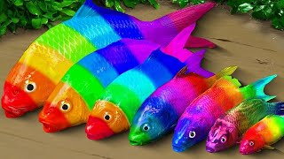 Cartoon Stop Motion ASMR  Believe This Fishing Big Red fish Carp eel videos Mudfish Cooking [upl. by Toulon]