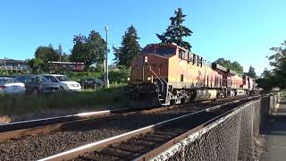 Northbound BNSF Grain Train BLAST THROUGH the Steilacoom Ferry Terminal Railroad Crossing [upl. by Clynes]