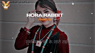 Sumnima timi ke saro ramri  Lyrics Song  Hora Rabbit [upl. by Metabel532]