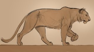 Animation  Drawing Animals with Aaron Blaise promo [upl. by Westfall195]