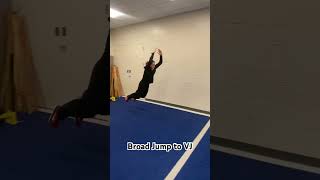 Broad Jump to Vertical Jump [upl. by Davenport]