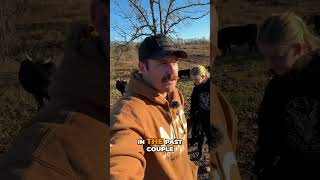 Grazing Strategies Allowing Freedom for Livestock homestead farmliving [upl. by Campman]