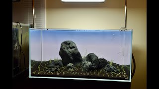 Iwagumi Aquarium Using Hakkai Stone [upl. by Quincy]