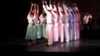 fundacion compañia nacional de danza venezuela [upl. by Aisac]