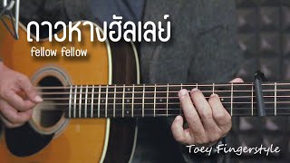 ดาวหางฮัลเลย์  FELLOW FELLOW Fingerstyle Guitar Cover TAB [upl. by Aral]