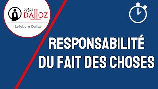 Responsabilité du Fait des Choses  Responsabilité Civile [upl. by Anoj]