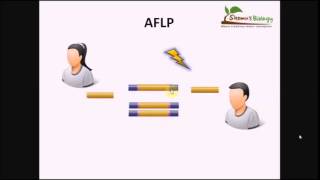 أساسيات الهندسة الوراثية تكنيك الـ AFLP [upl. by Ecarg]