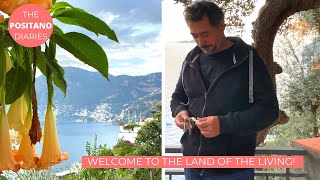 THE END OF AN ERA amp A NEW BEGINNING  The Positano Diaries EP 152 [upl. by Anair202]