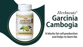 GP Garcinia Cambogia  Telugu [upl. by Nealon]