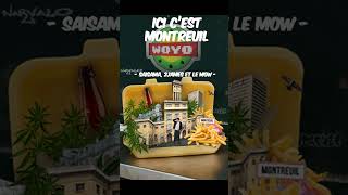 WOYO OST  Ici cest Montreuil Saisama le Mow et 2James shorts [upl. by Erlene]