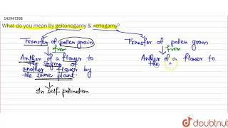 What do you mean by geitonogamy amp xenogamy [upl. by Atibat289]