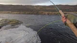 Spring fishing on the River Helmsdale day 3 [upl. by Aila]