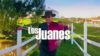 Palomita Mensajera  Los Juanes Video Oficial [upl. by Yliak229]