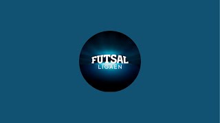 DBU Futsal Ligaen er live [upl. by Bergstrom]