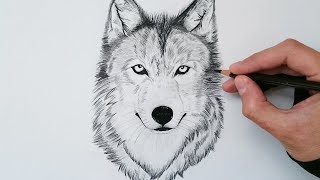 APRENDE cómo DIBUJAR un LOBO realista explicado PASO A PASO 🐺✅ [upl. by Otila881]