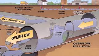 What is Stormwater Runoff [upl. by Eirallih]