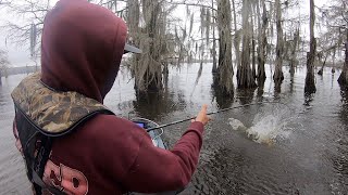 Top 10 Finish In The Swamp Caddo Lake Hobie BOS [upl. by Gordie]