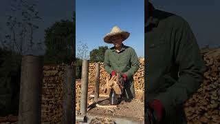 Farmer using wood splitter machines cutting wood woodworking [upl. by Frasco32]