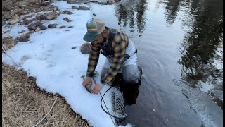 Kennedy Meadows Fly Fishing [upl. by Martella477]