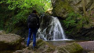 Walk Among Fairies in a Fairy Glen [upl. by Drofiar947]