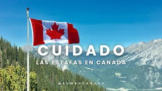 Alerta🚨Estafas en Canada  Trabajos en Canada [upl. by Doley]