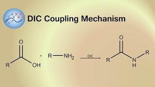 DIC Coupling Mechanism  Organic Chemistry [upl. by Aidile]