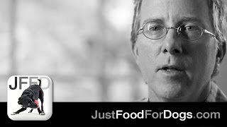 JustFoodForDogs Close Up Founder Shawn Buckley [upl. by Adnirak]