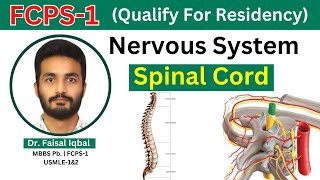 FCPS1  Nervous System  Spinal Cord  Anatomy of Spinal Tracks Blood Supply [upl. by Rainer260]