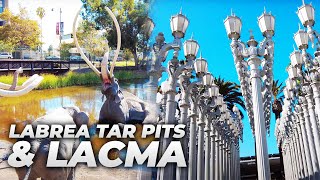 Walking Los Angeles  La Brea Tar Pits and LACMA Los Angeles County Museum of Art [upl. by Anima]