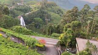 The Tea Castle tea hatton srilanka evening subset views beauty nature waterfall [upl. by Analeh]