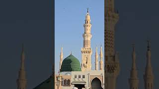 Dua from Roza e Rasool pbuh Marina Munawara [upl. by Rama]