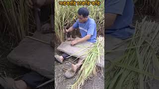 সরকারি চাকুরী 🥲 viral shorts funny [upl. by Aineles]