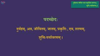 10th Shemushi Lesson 11  Class 10 Sanskrit  Shemushi Part 2  Samskrit Promotion Foundation [upl. by Soni]