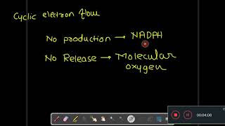 Cyclic electron flow photosynthesis  light reaction cyclic photophosphorylation [upl. by Nilrak848]