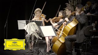 Schubert Piano Quintet In A Major Op 114 D 667  quotThe Troutquot 3 Scherzo Presto [upl. by Odlanyer951]