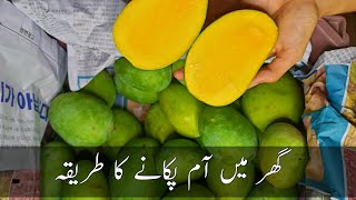 How to ripen mangoes at home  Ethylene ripening of fruits  Kacche aam pakane ka tarika [upl. by Inalej]