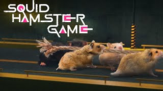 SQUID HAMSTER GAME 4 [upl. by Ardeed]